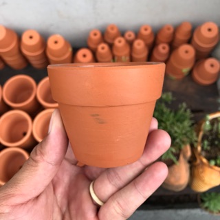 Chậu đất nung 7cm