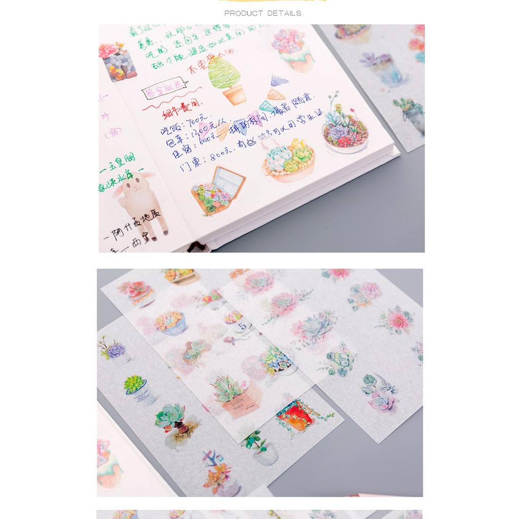 Set 6 tấm sticker xương rồng dạng giấy washi