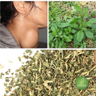 1 Kg Cây cải trời khô hỗ trợ bướu cổ