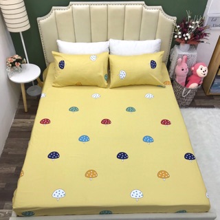 Set Ga-Vỏ gối cotton 100%