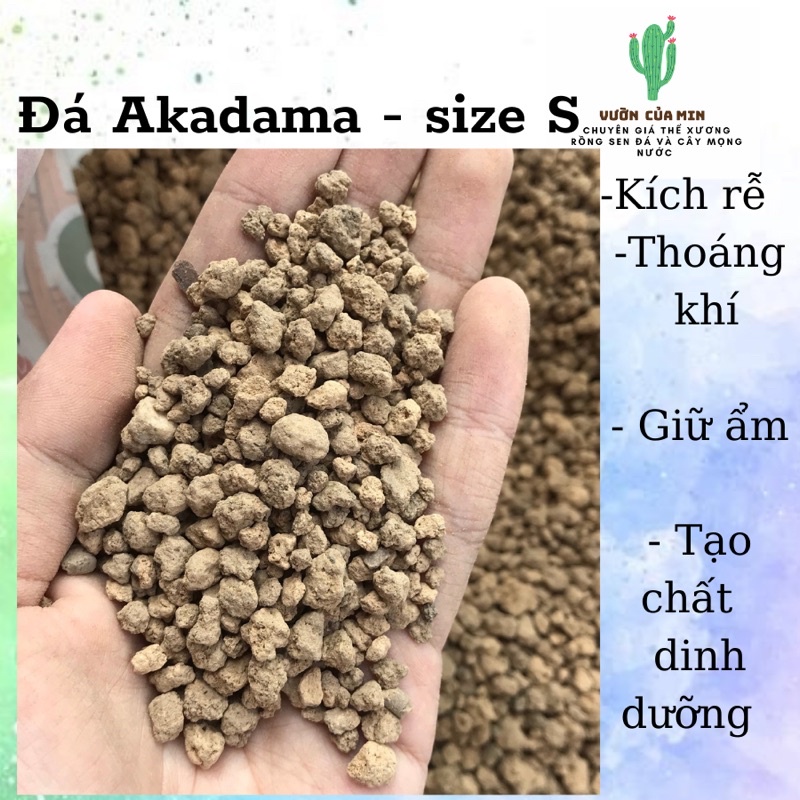 100gram Đá Akadama ( size S ) , Phân nền Nhật Bản