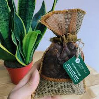 Combo 3 túi thơm cà phê khử mùi xe ô tô 100% từ hạt cà phê