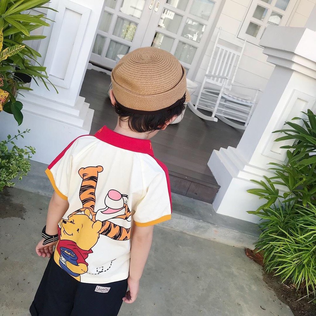 Áo cotton in hình gấu Pooh 2 mặt cho bé trai &amp; gái (N00764)