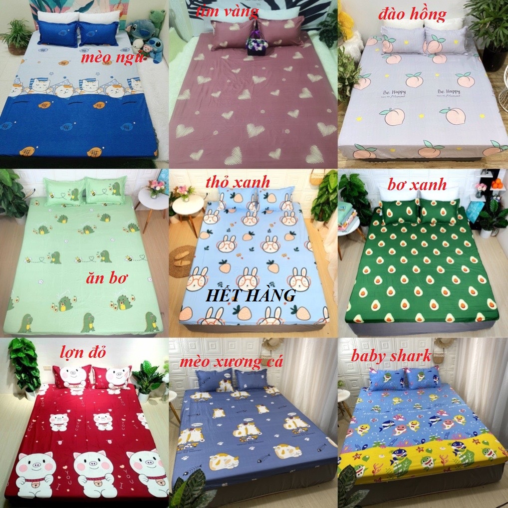 Bộ ga gối poly cotton đủ size giá siêu rẻ