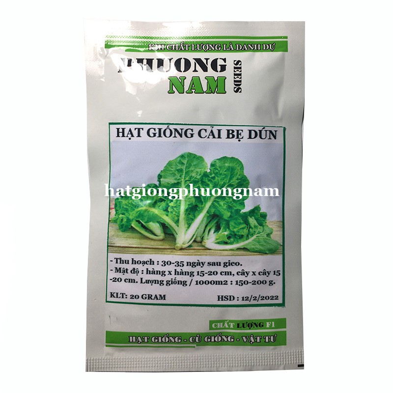 20 GR - HẠT GIỐNG CẢI BẸ DÚN