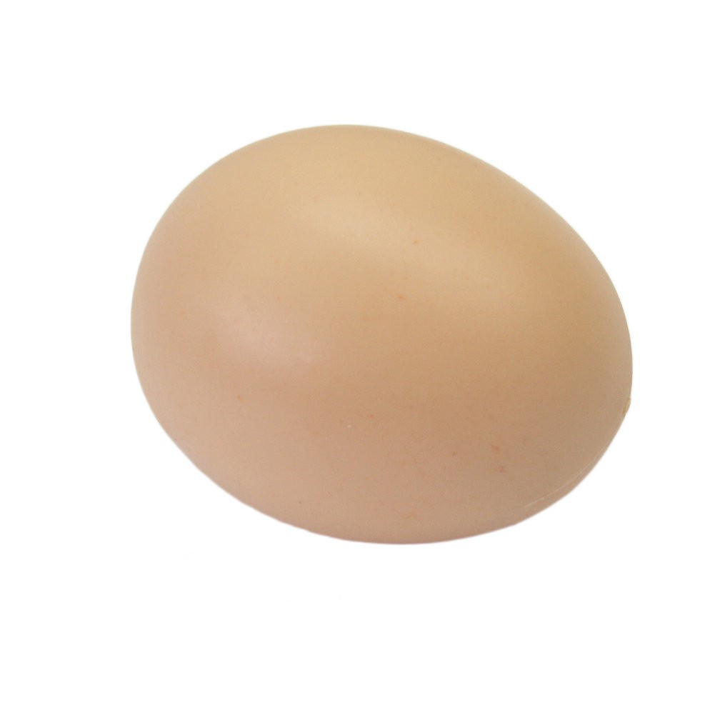 Bộ 5 trứng nhựa giả khuyến khích gà đẻ trứng