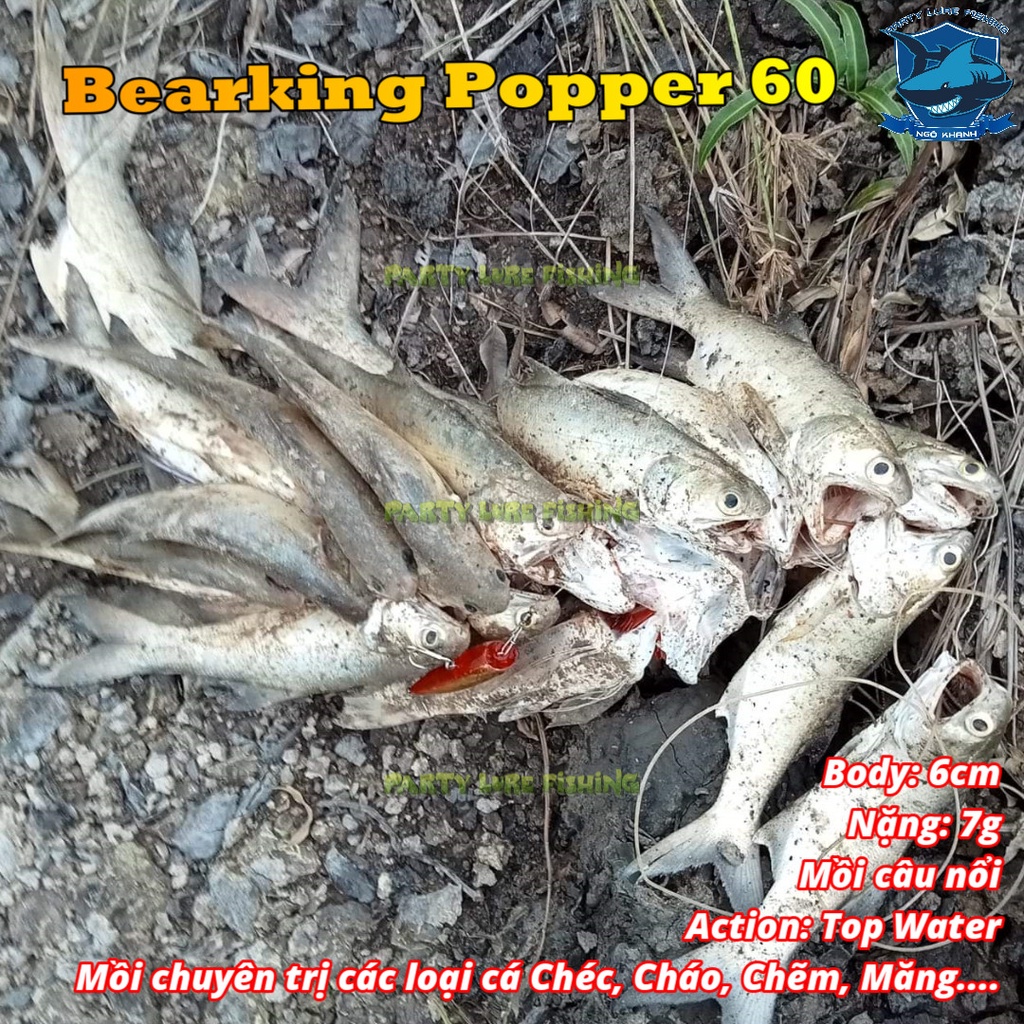 Mồi câu cá Bearking Popper Bait, mồi lure cá chéc, măng, cháo, chẽm...