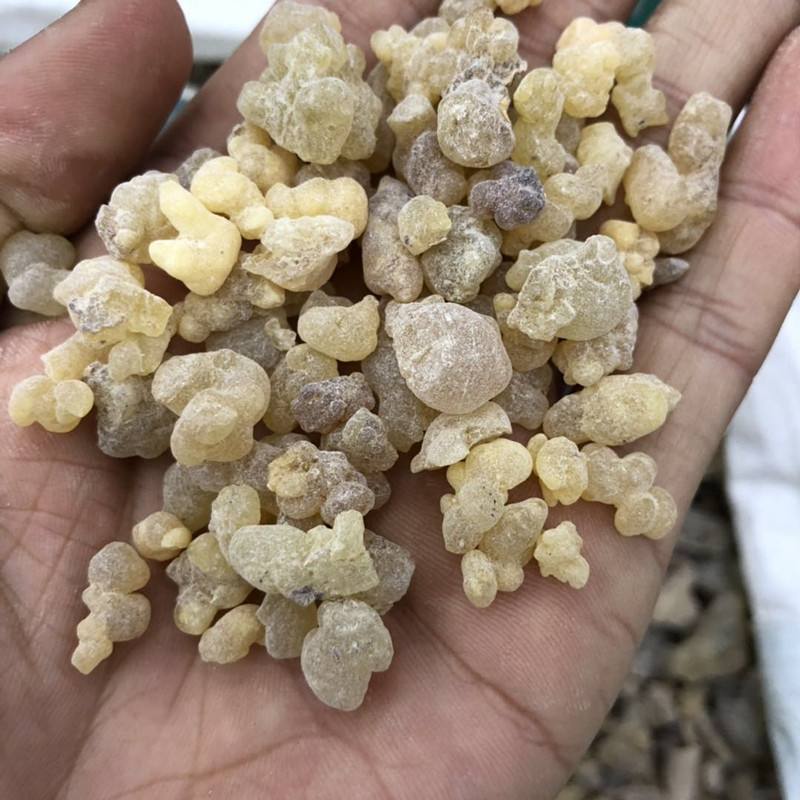 Nhũ Hương nguyên chất 100 gram.