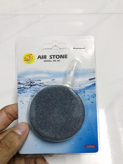 SỦI DĨA OXY 6CM HỒ CÁ NON BỘ