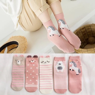 Set 5 đôi tất người lớn dày dặn cực kì kute a0114