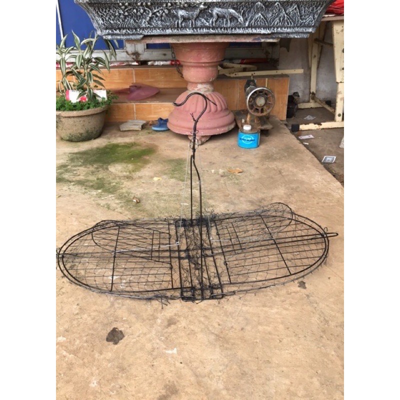 Bẫy chim bìm bịp