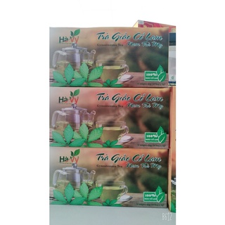 Trà giảo cổ lam nam trà my quảng nam