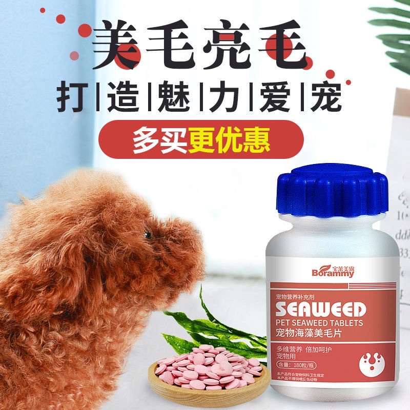 Vitamin cho chó Borammy Viên rong biển dưỡng lông cho mèo bổ gan thận NourseVietnam BM04