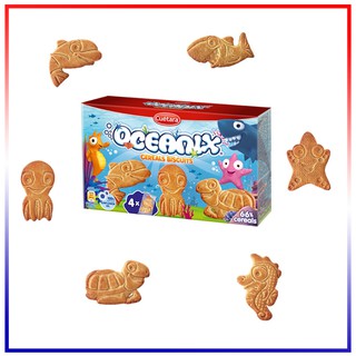 Bánh quy ngũ cốc oceanix 110g