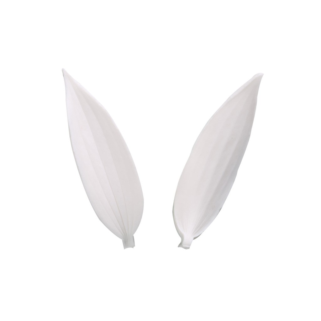 Kalaien Khuôn silicone Làm Bánh Hình Lá Hoa lily