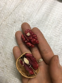 Quả óc chó đỏ 1kg