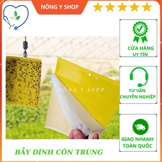 Miếng Dán Bẫy Côn Trùng, ruồi vàng, sâu bọ trong vườn cây 15x20cm, 20x25cm, bẫy ruồi vàng, ruồi đục trái cây