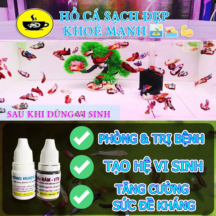 Dây ống nước ruột gà nối ống, thay dây hút cặn hồ cá