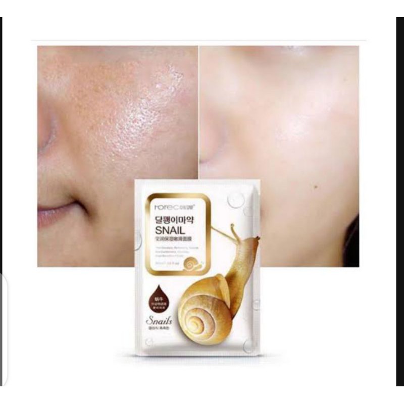 Rorec Ốc Sên Trang Trí Xe Hơi Chuyên Dụng Cao Cấp