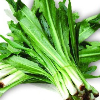 2gr hạt giống mùi tàu/ ngò gai