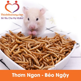 Sâu Khô Cho Hamster - Sâu Đại - Vỗ Béo - Tăng Cường Sức Khỏe