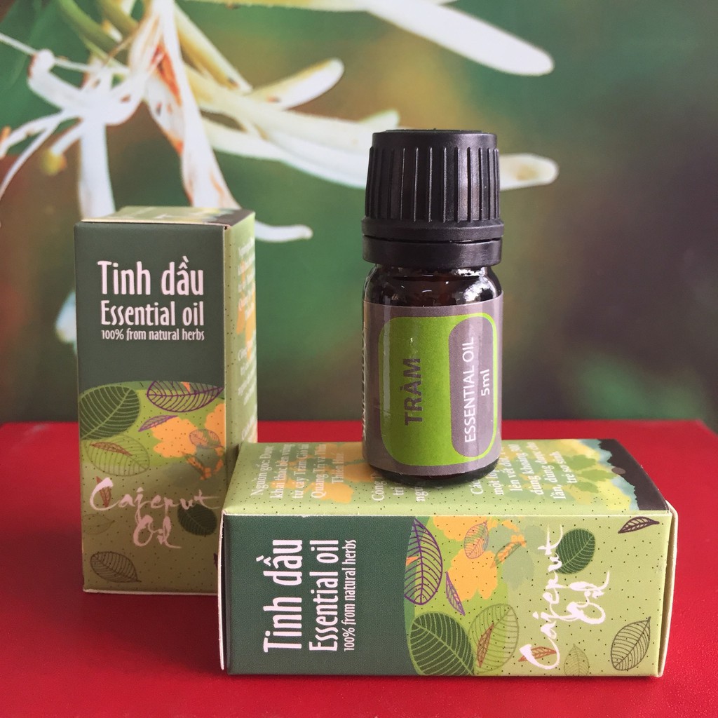 Tinh dầu tràm gió Sinh Dược 5ml