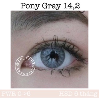 Kính áp tròng Pony Gray 14.2