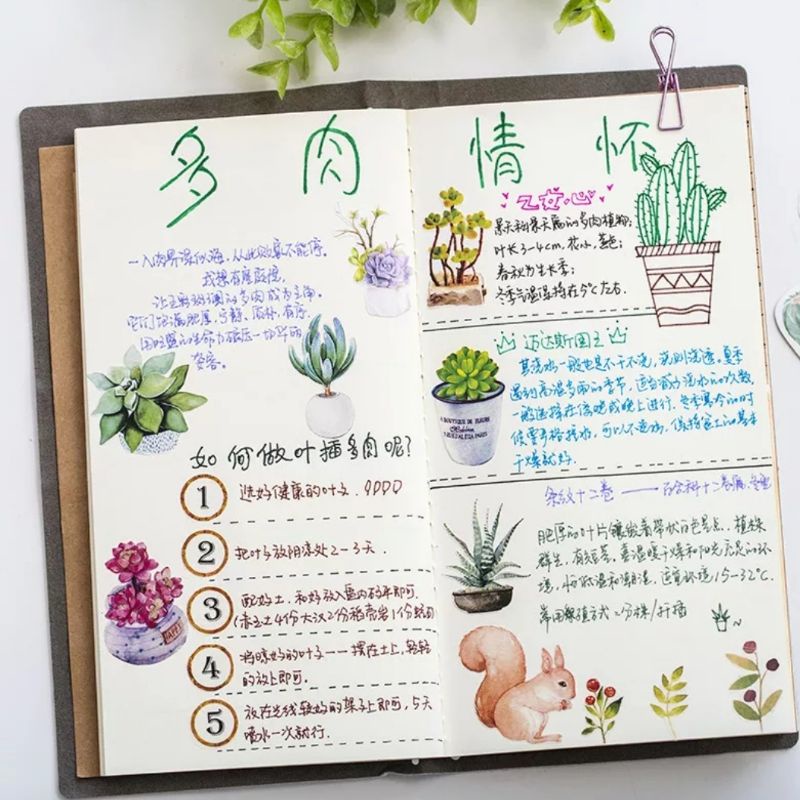 STICKER chậu sen đá hộp 45 miếng dán trang trí sổ tay, điện thoại, laptop - S06