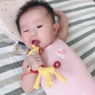 Gặm nướu hươu chuối