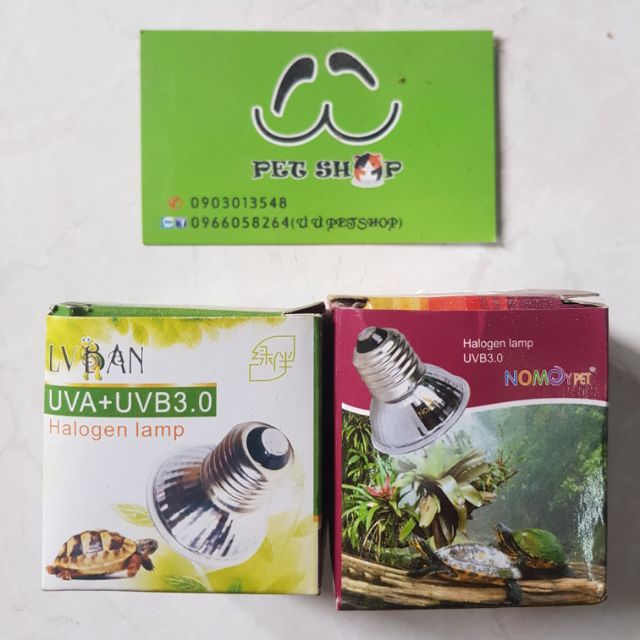 Đèn sưởi UVB cho Rùa