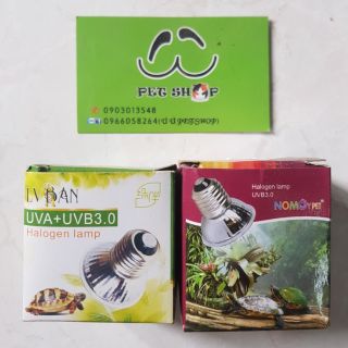 Đèn sưởi uvb cho rùa