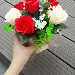 Chậu hoa hồng sáp 7 bông