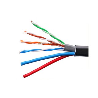 Cáp mạng cat5 có dây nguồn ngoài trời 100 mét  lõi đồng
