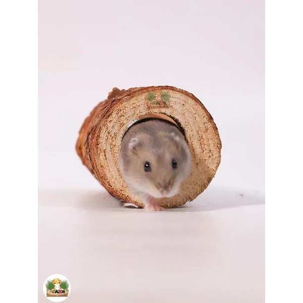 Ống chui Hamster-gỗ thông