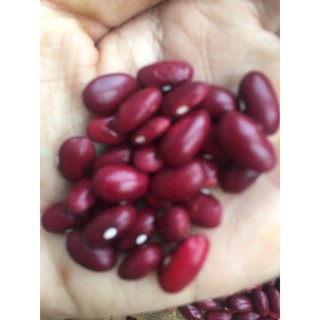 Đậu đỏ Đà Lạt 500gr