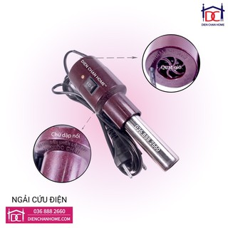 Ngải cứu điện Diện Chẩn