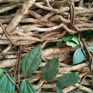 Set 2kg sâm xuyên đá tươi