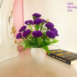 bộ nguyên liệu tự làm hoa cẩm chướng. combo 330k