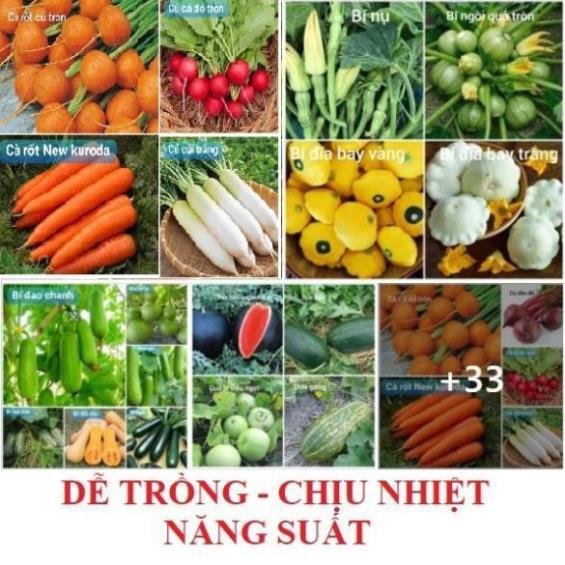 [MUA NHANH] COMBO ĐỦ LOẠI HẠT GIỐNG RAU CỦ QUẢ DỄ TRỒNG HẠT GIỐNG RAU, CÀ CHUA, DƯA CHUỘT, HẠT ỚT, CẢI XOĂN KALE, BÓ XÔI