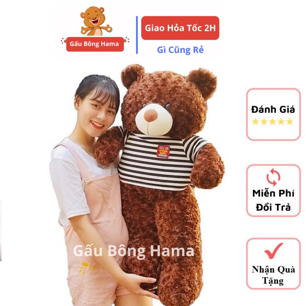 Gấu bông Teddy Cao Cấp  Cao 1m2 màu Nâu hàng Gấu Bông Gía Rẻ