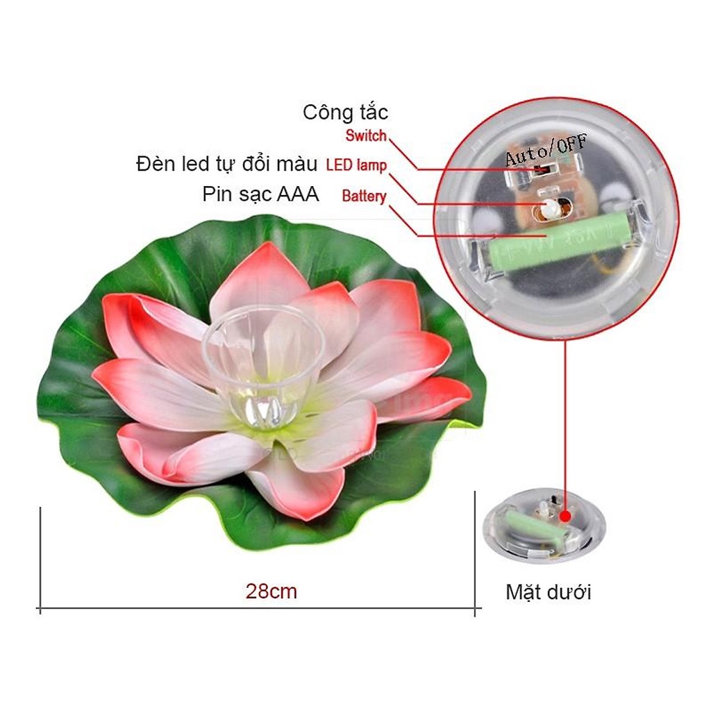 Đèn LED Năng Lượng Mặt Trời Chống Thấm Nước Hình  Hoa sen  / Trang Trí Lối Đi Sân Vườn