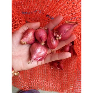 1Kg Hành Tím Lý sơn