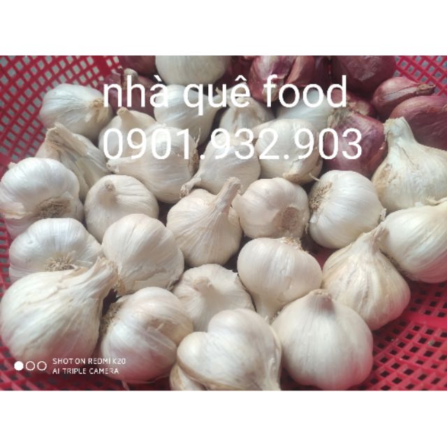 Giá sỉ 1kg tỏi Lý Sơn sạch nhà trồng- loại đặc biệt củ to đều trắng