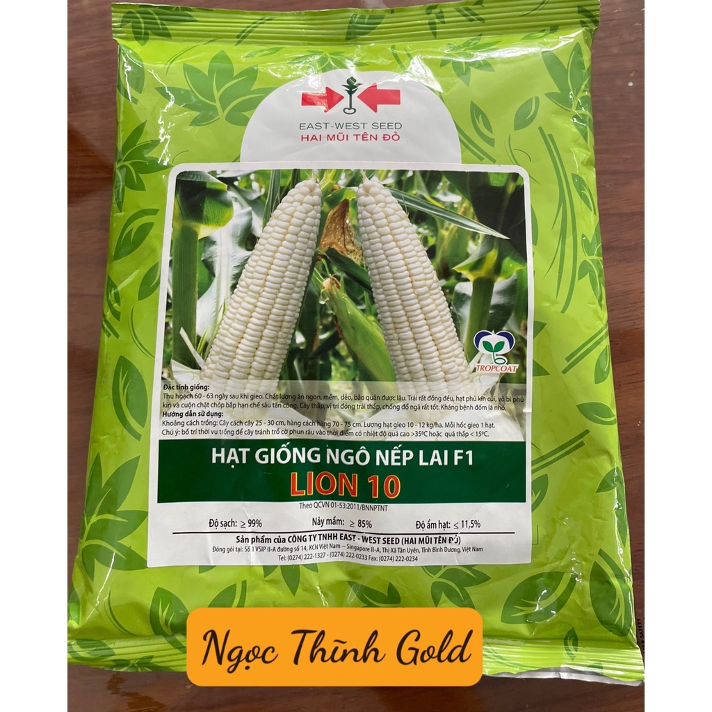 HẠT GIÔNG NGÔ NẾP LAI F1 LION 10