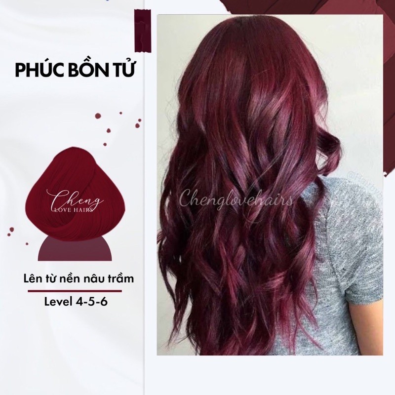 Thuốc nhuộm tóc PHÚC BỒN TỬ