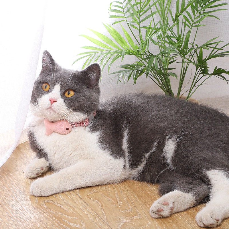 Vòng cổ thêu họa tiết hình chú cá xinh xắn cho thú cưng