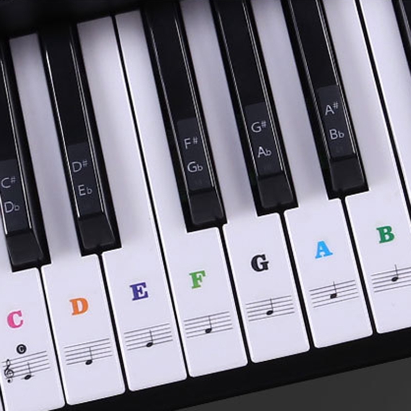 88/61/54/49 Miếng dán phím đàn piano điện tử trong suốt