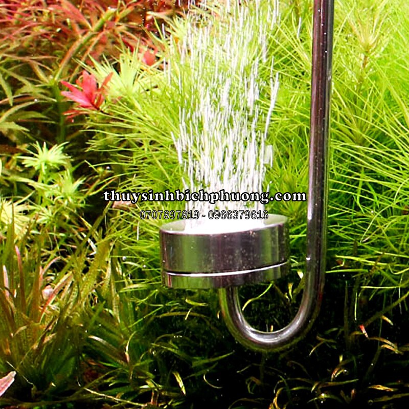 CỐC SỦI CO2 INOX MUFAN - THAY THẾ SỨ SỦI ĐƯỢC SAU THỜI GIAN SỬ DỤNG LÂU NGÀY