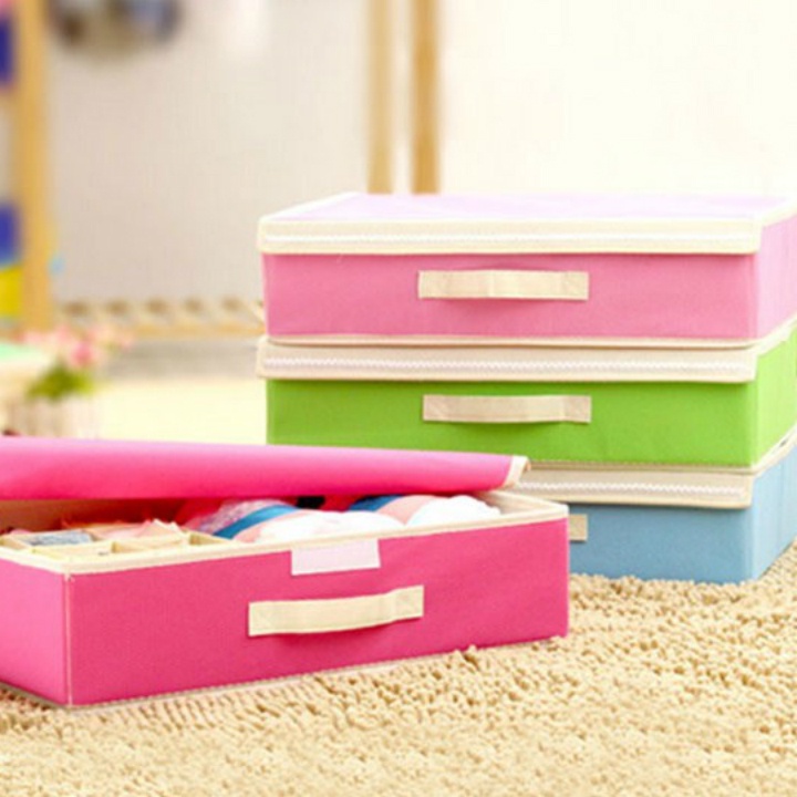 Hộp Đựng Đồ Lót 16 Ngăn MINISHOP HA08