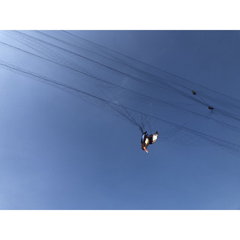 60m lưới tàng hình mắt 7 phân.5 viền 4 túi